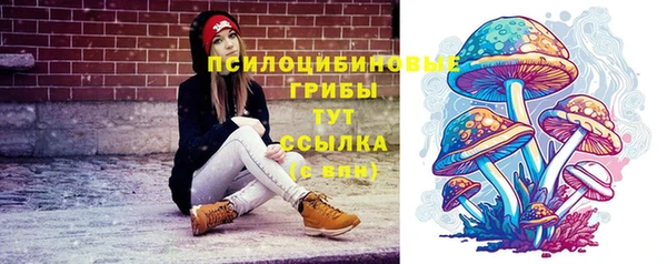 бошки Сосновоборск