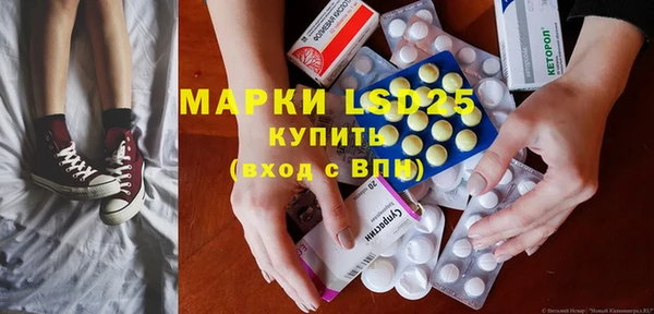 spice Аркадак