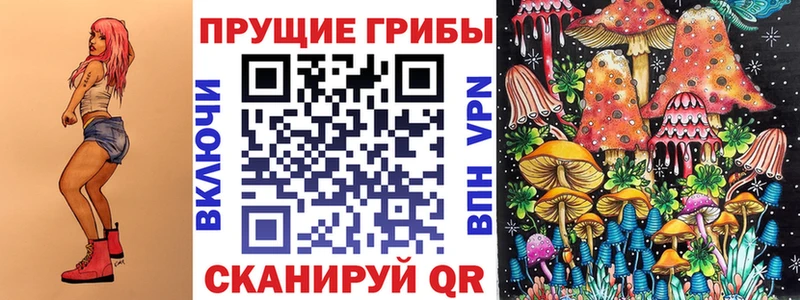 Галлюциногенные грибы Psilocybe  купить   Белогорск 